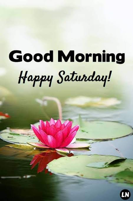 good morning