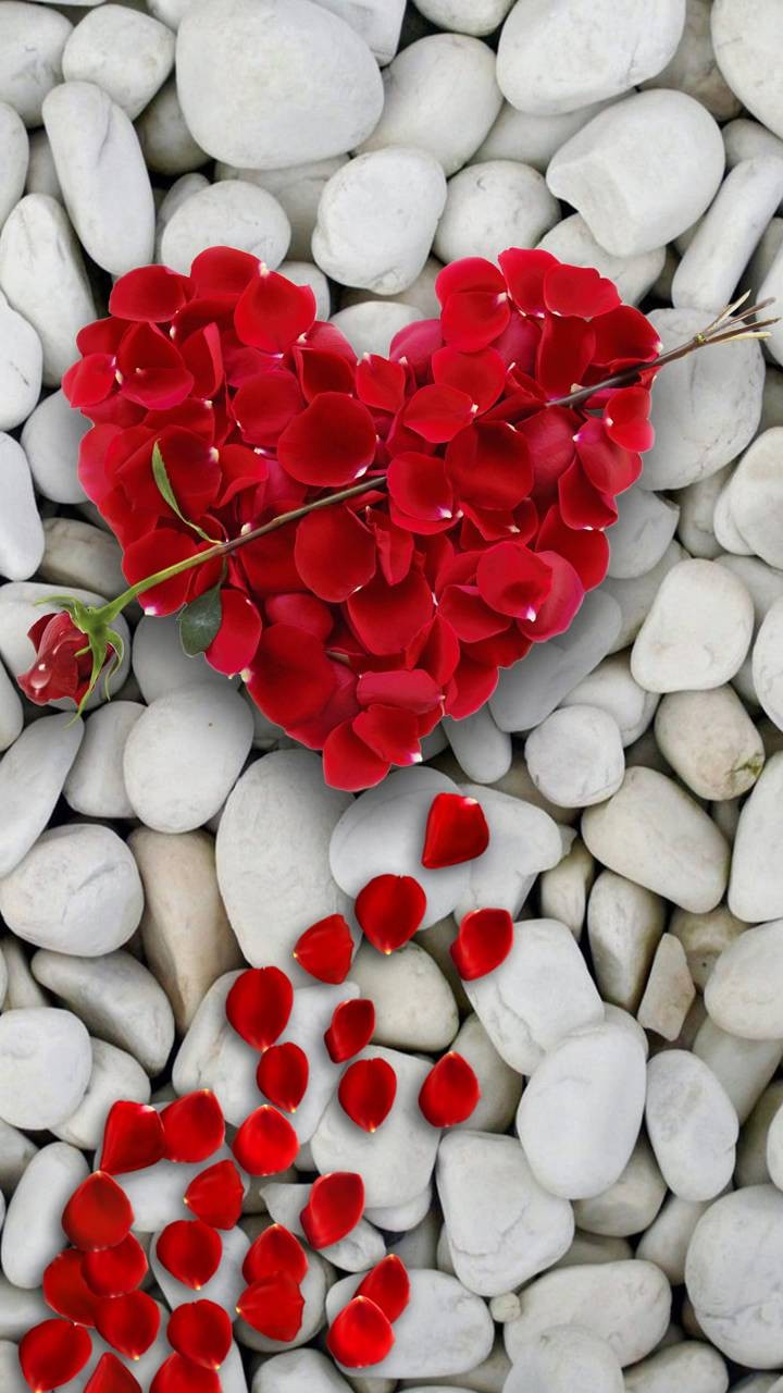 ♥️♥️