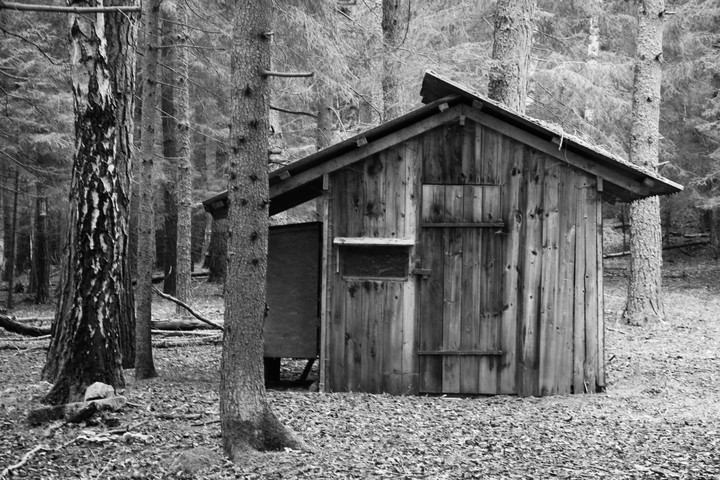 Futterhaus