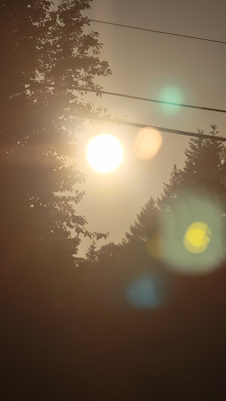 Sunset pt. 2
