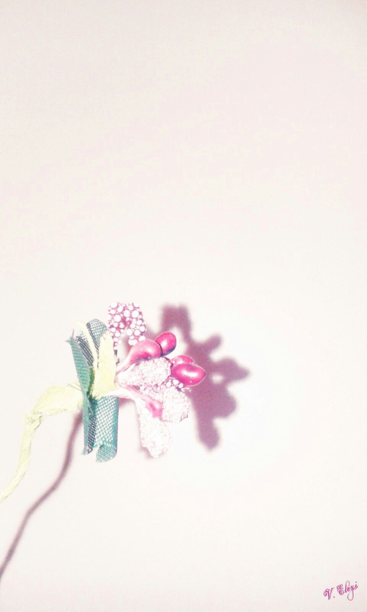 Flower ♥