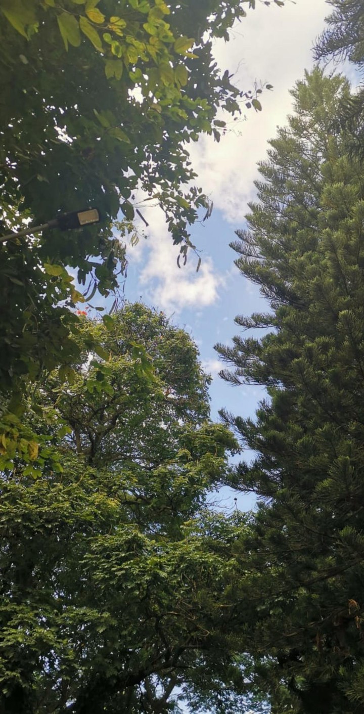 on a sunny day..