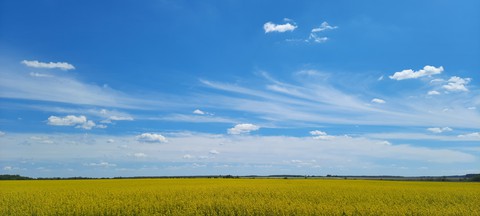 Украина