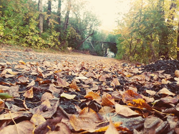 Autumn