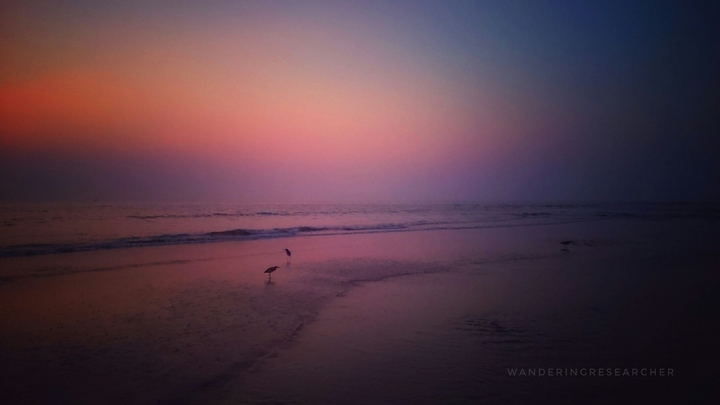 sunset
