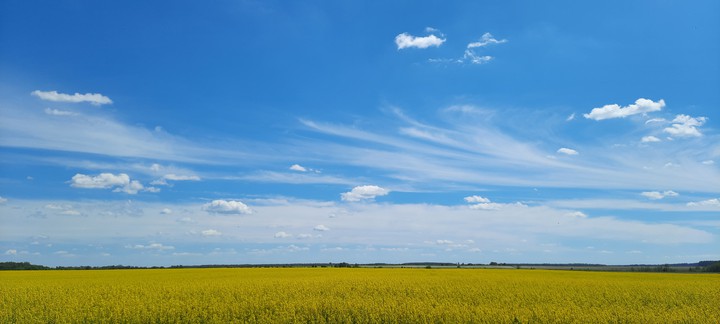 Украина