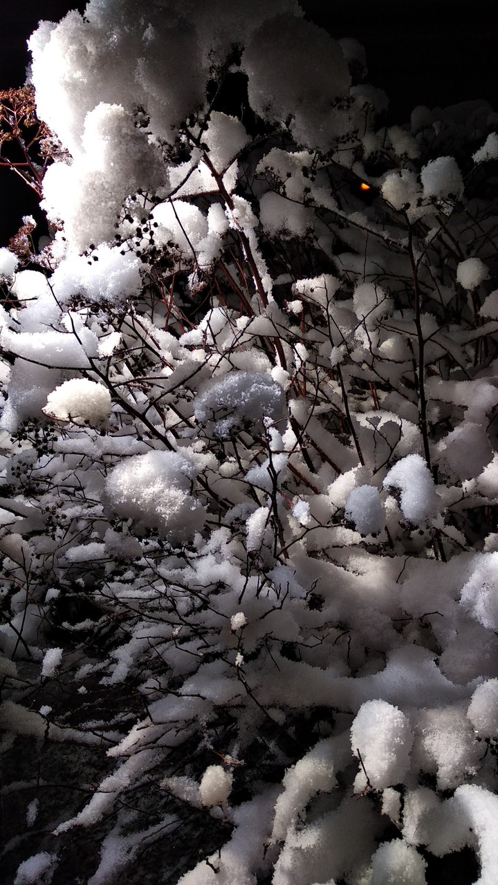 Unexpected snow