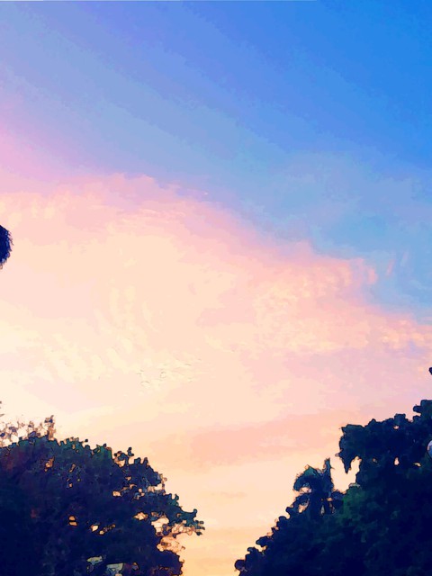 Skies