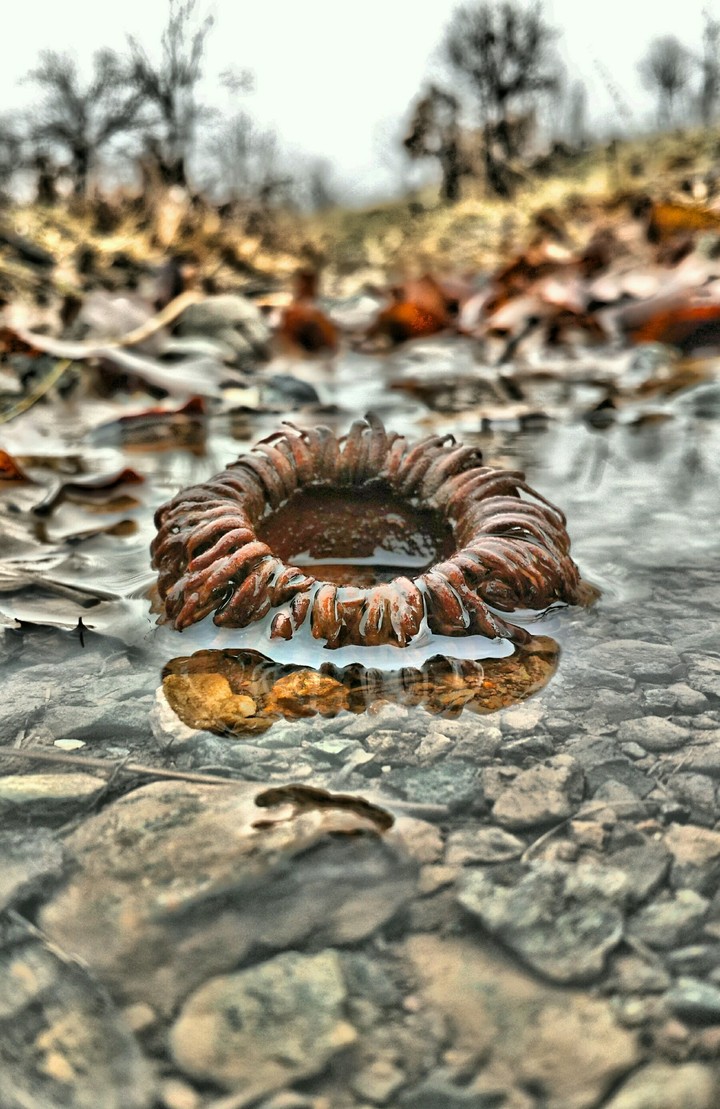 Kurdistan