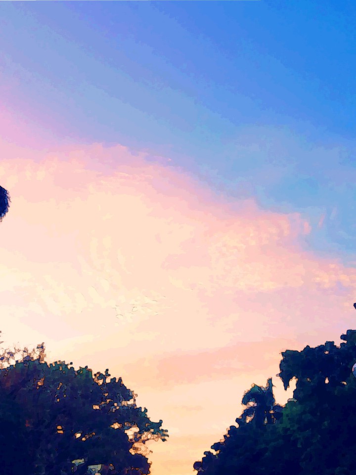 Skies