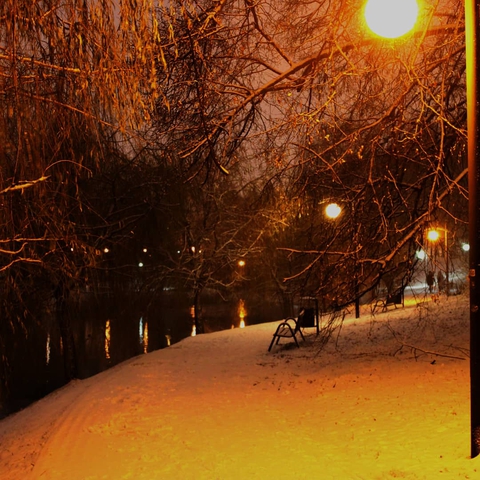 Winter