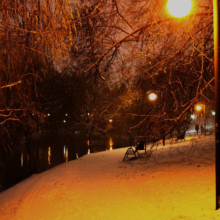 Winter