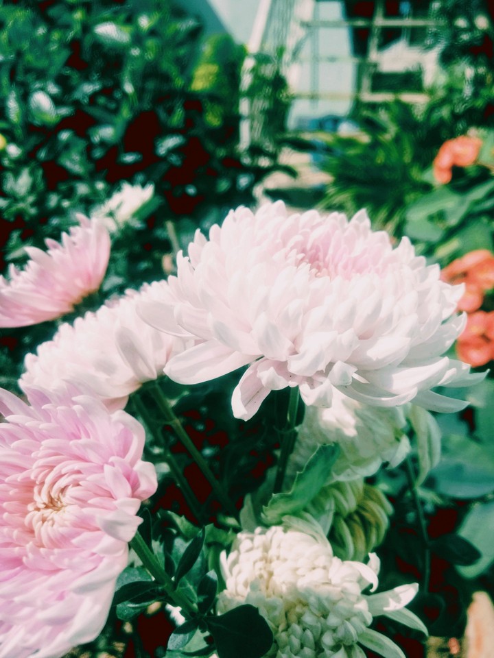 white flower