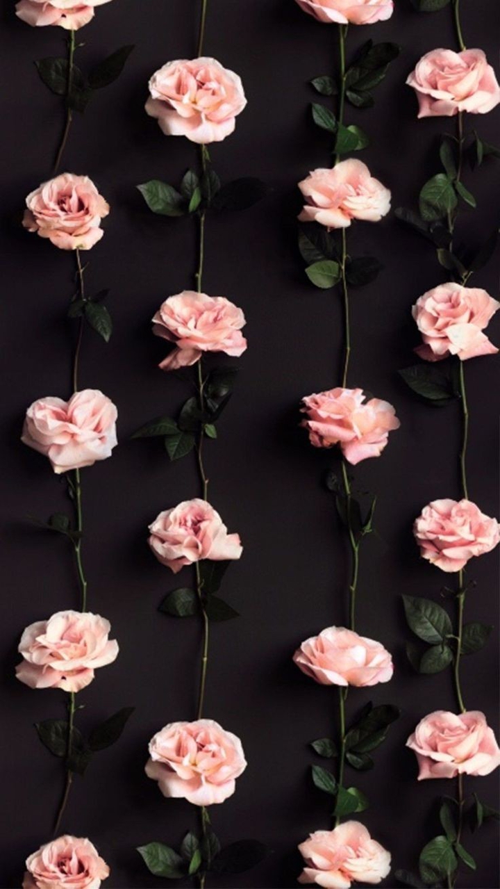 rosas