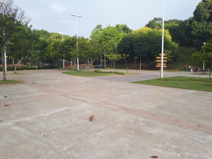 fim de tarde no parque