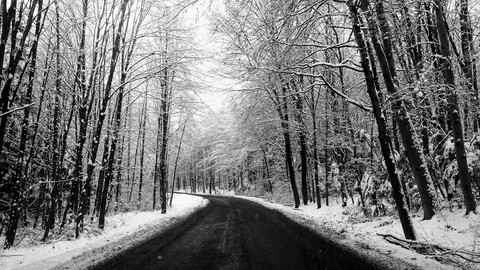 Winter Road