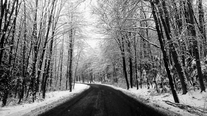 Winter Road