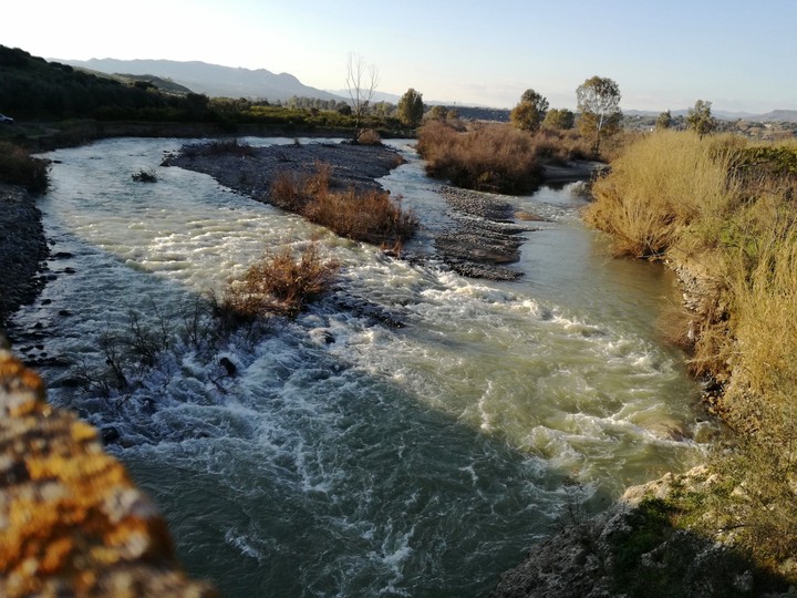 Simeto' s riverside