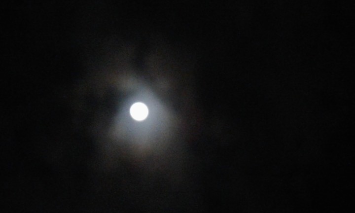 lunita Consentida