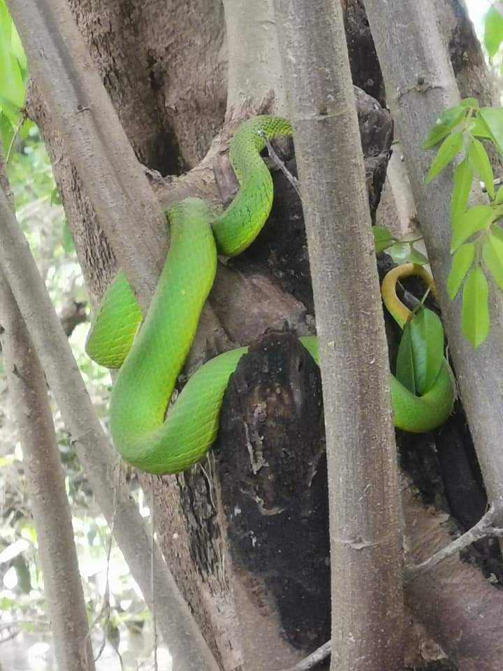 ??