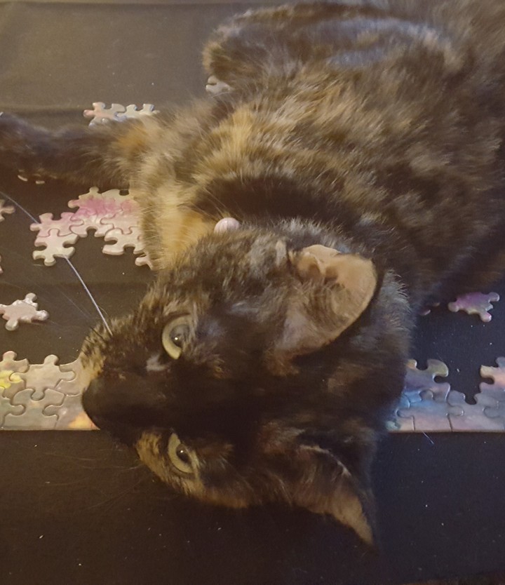Puzzled Karma