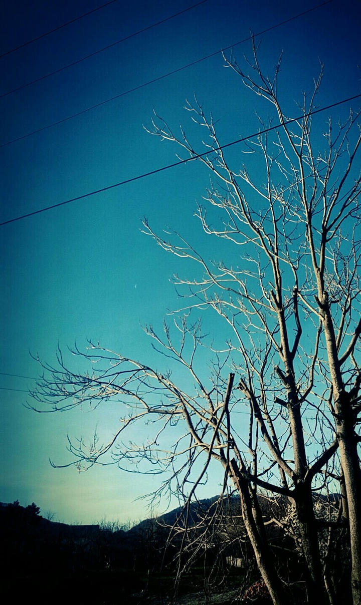 Spring day....