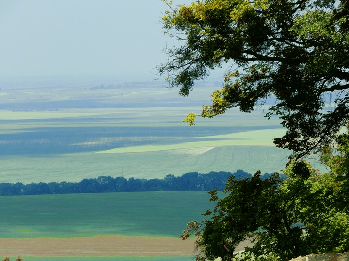 nature