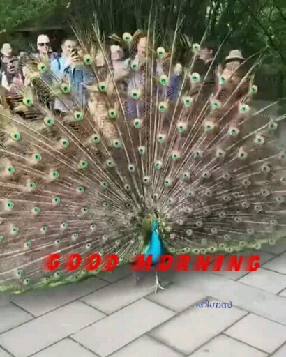 ☺☺