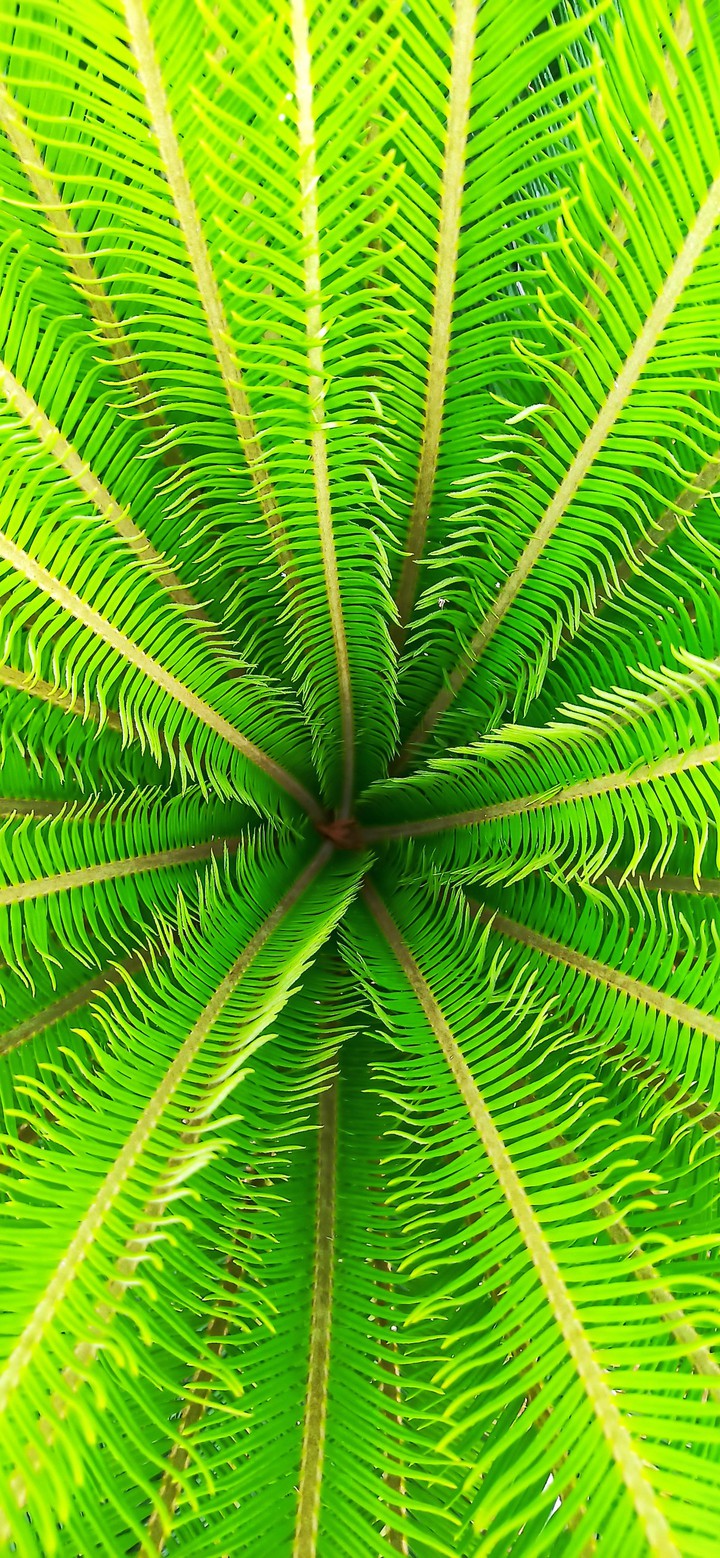 New beginning, welcome newborn leaves