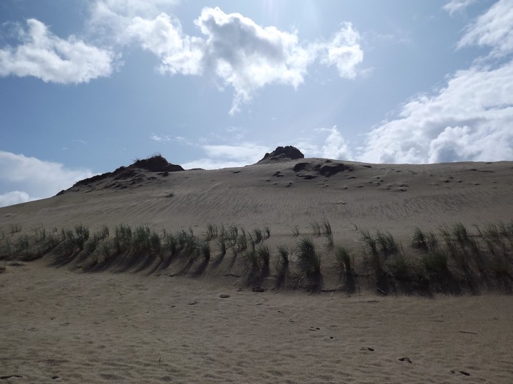 Curonian spit