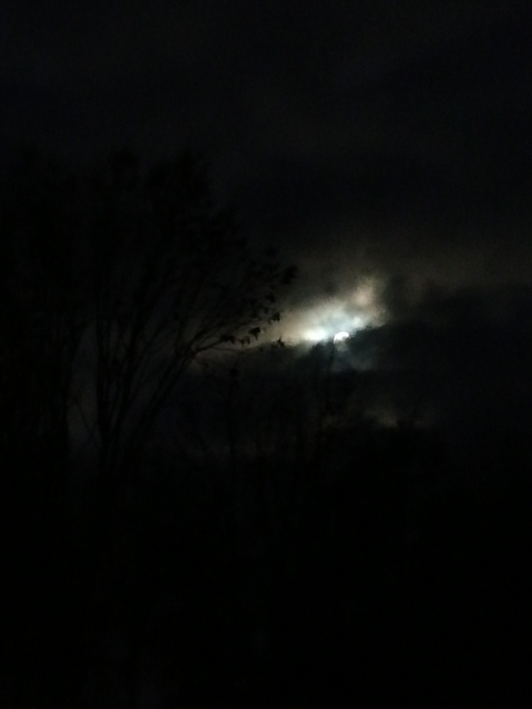 light emerging