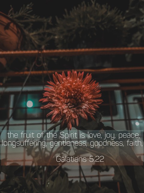 Fruit of Spirit ♥️