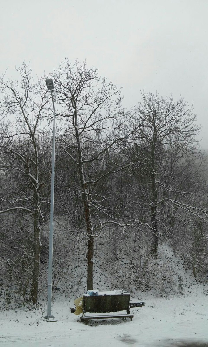 winter