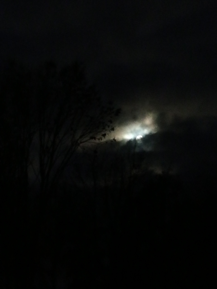 light emerging