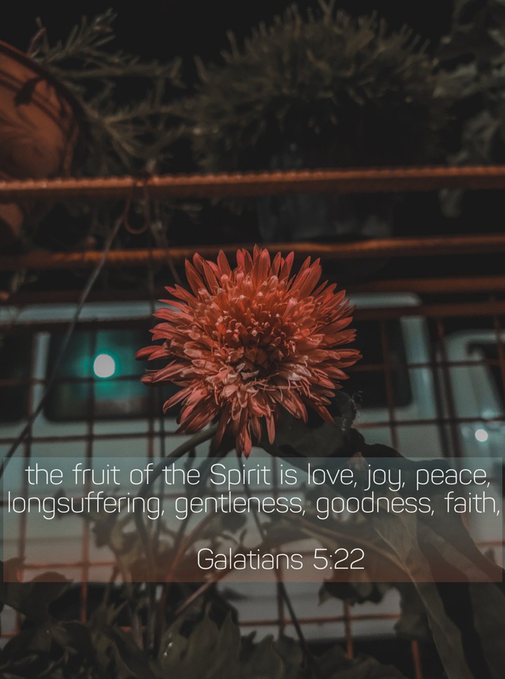 Fruit of Spirit ♥️