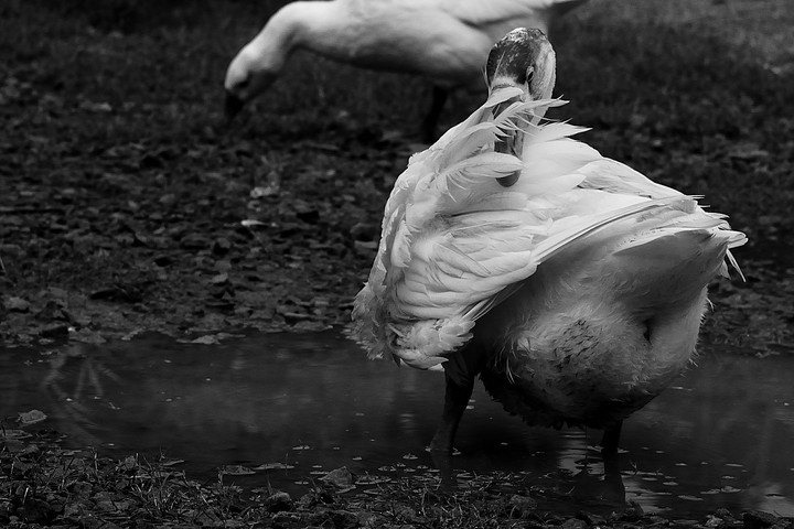 by Anand Unnikrishnan