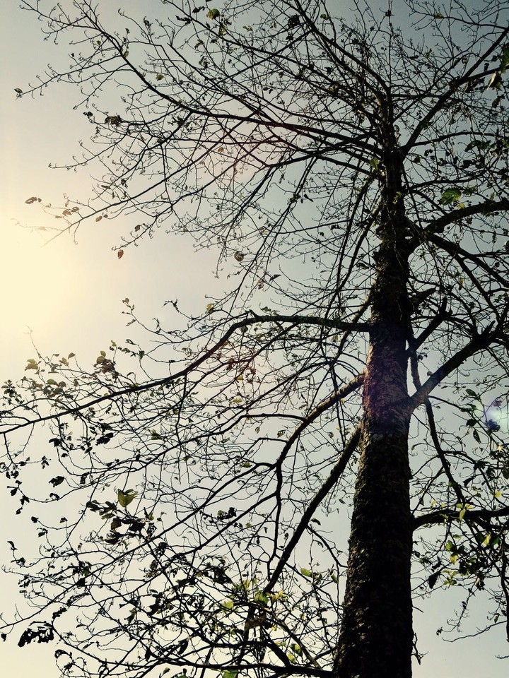 sun