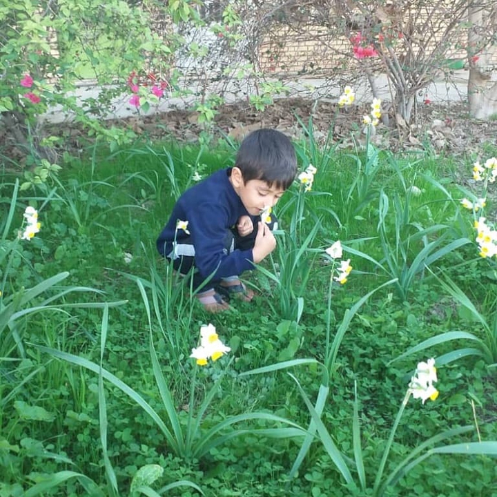 flower