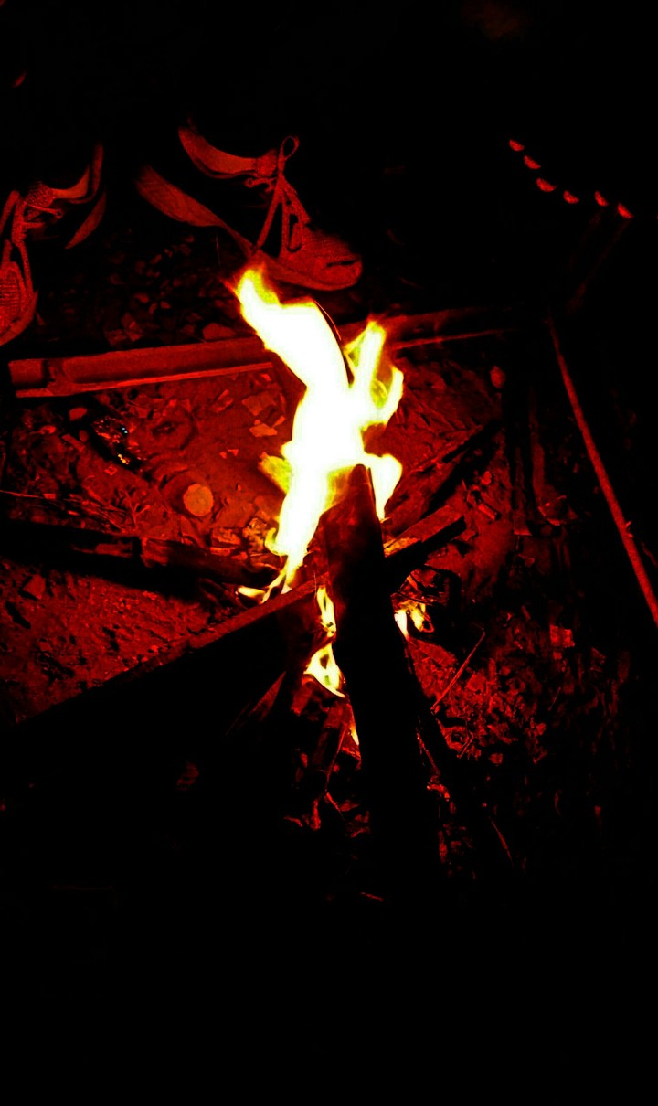 Holi