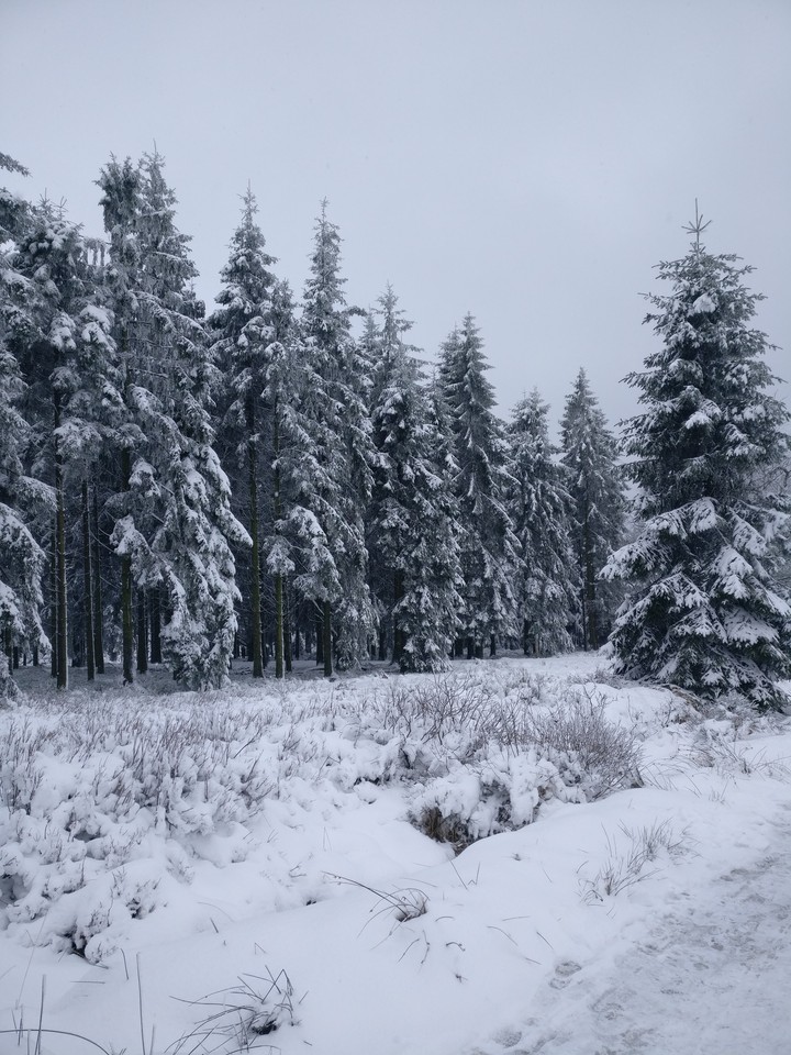 Winterwonderland