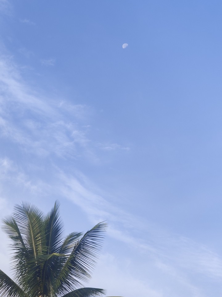 Sky