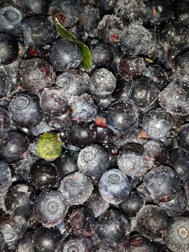 bilberry