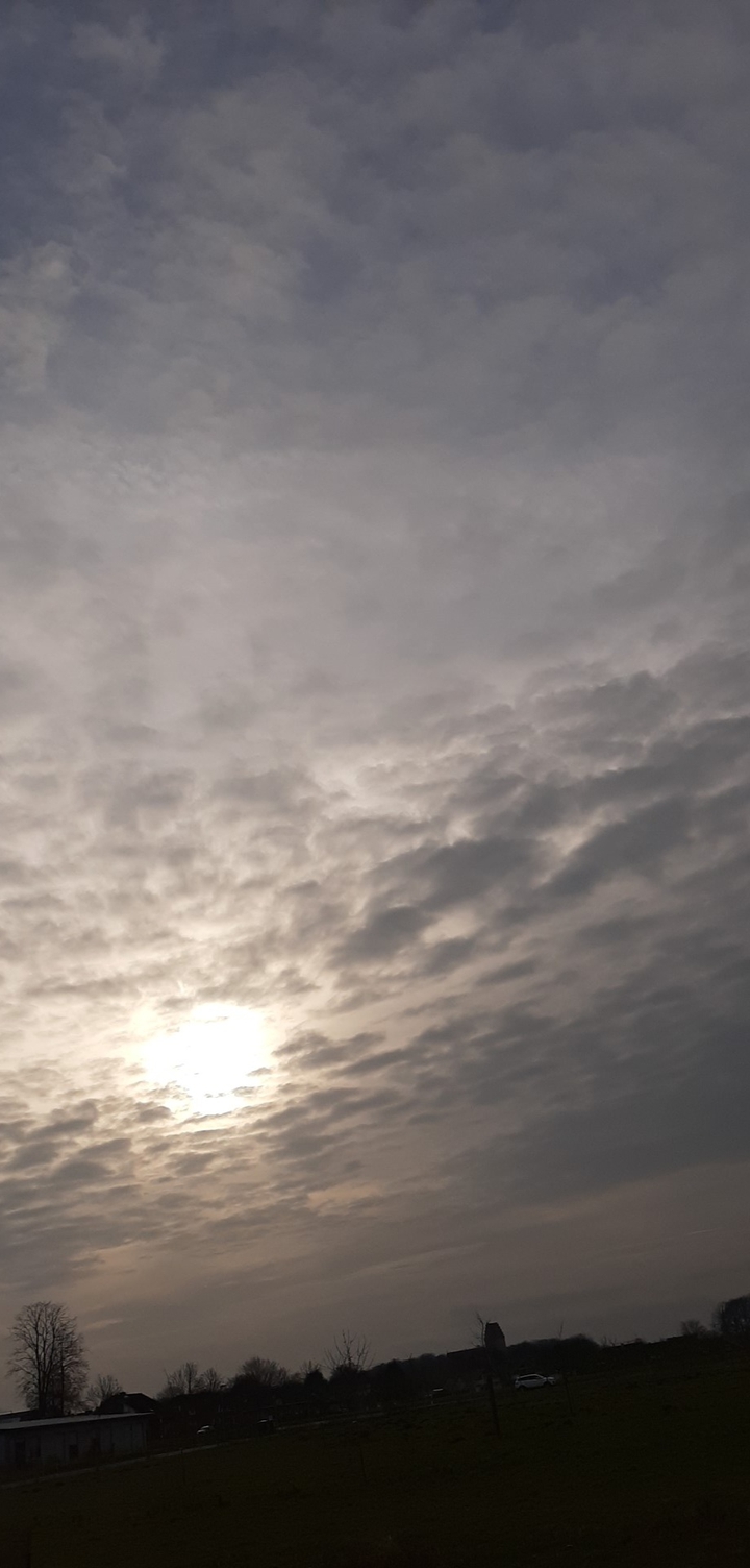 Weather