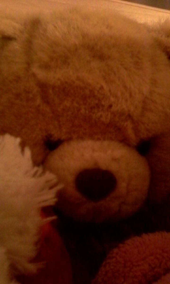 Bear♥