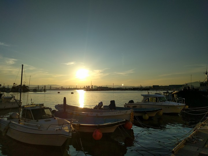 Harbor