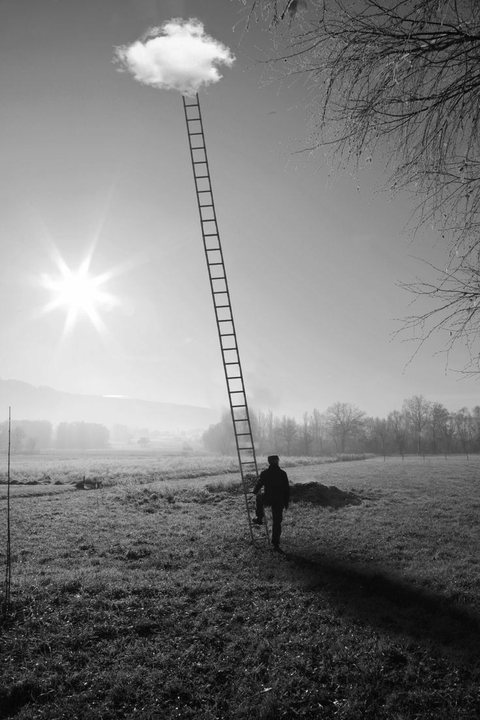 Ladder