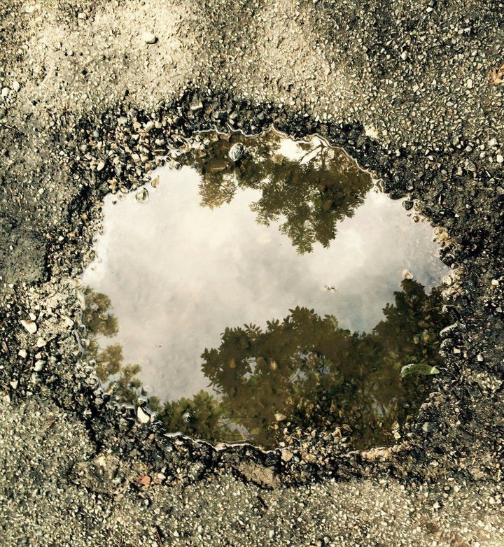 A landscape in the water