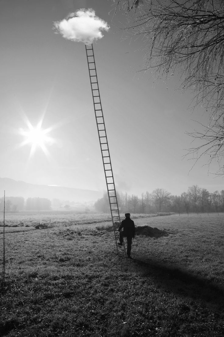 Ladder