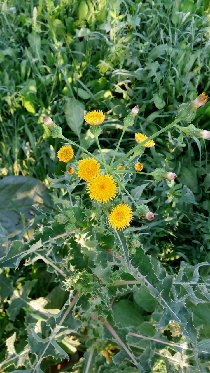 nature