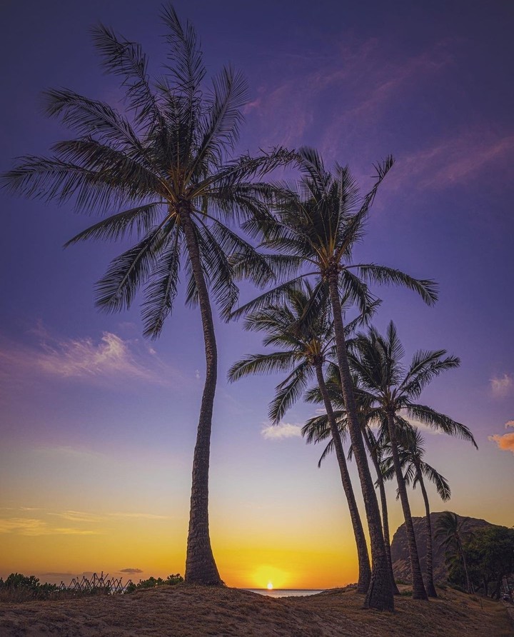 purple sky...
